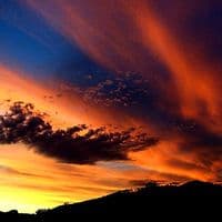 TikTok Account - indobarbar222d