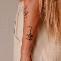 TikTok Account - user__1555