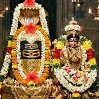 TikTok Account - easanmagal3