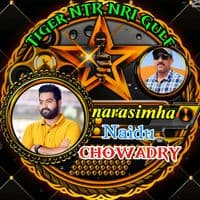 TikTok Account - youngtigerntr008