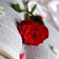 TikTok Account - forryou47