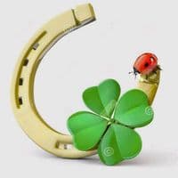 TikTok Account - aikaa657