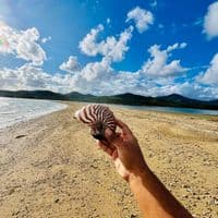 TikTok Account - _lyne.687_