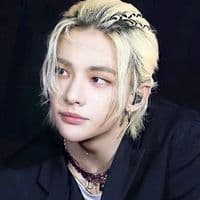 TikTok Account - straykidsmylovesfhhh