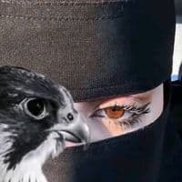 TikTok Account - ........29lmghamda