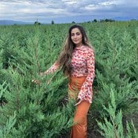 TikTok Account - mcenarea