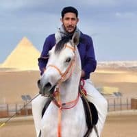 TikTok Account - atman0100