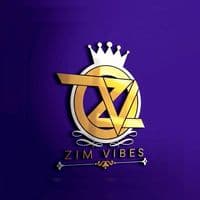 TikTok Account - zimvibesofficial