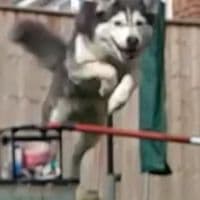 TikTok Account - fuzzbear_mishka