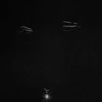 TikTok Account - uhm.hannahc