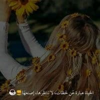 TikTok Account - rowan.gazem