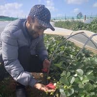 TikTok Account - hadra.dyalrjal