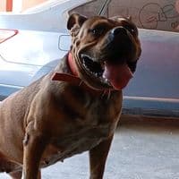 TikTok Account - aarondass05