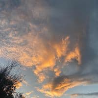 TikTok Account - ..d.d2