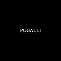 TikTok Account - pugallisongs