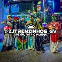 TikTok Account - zjtrenzinhos_gv