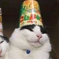 TikTok Account - rokuu_stars