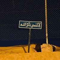 TikTok Account - 7af.y