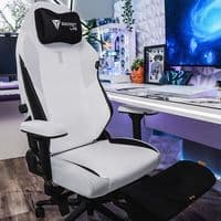 TikTok Account - flexcan5