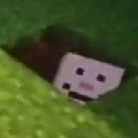 TikTok Account - _adlers_