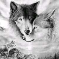 TikTok Account - lm_loyalwolf