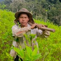 TikTok Account - jhersonarce.a