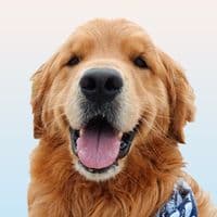 TikTok Account - wally.meets.world