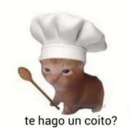 TikTok Account - wazyn0