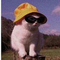 TikTok Account - antesydespuestiktokers