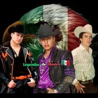 TikTok Account - corridosjr7