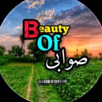 TikTok Account - beauty_of_swabi985