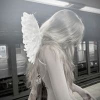 TikTok Account - treviia