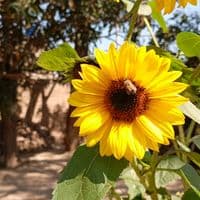 TikTok Account - abdulhadi12217