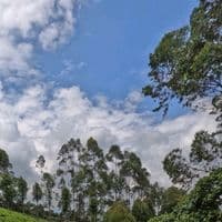 TikTok Account - zybooooky