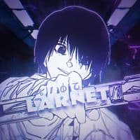 TikTok Account - larnet1