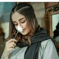 TikTok Account - nourlhouda409