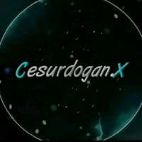 TikTok Account - cesurdogan.x