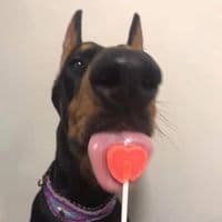 TikTok Account - nxwrth