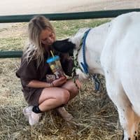 TikTok Account - m4ddy.g0dwin