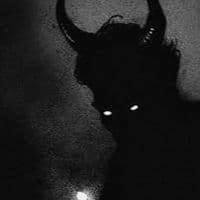 TikTok Account - gazadhem