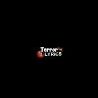 TikTok Account - terro_lyrics.8