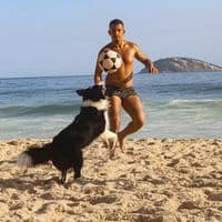 TikTok Account - dog_altinha