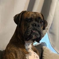 TikTok Account - victoria.0203er