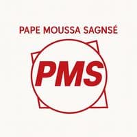 TikTok Account - pape_moussa_sagnse_