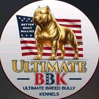 TikTok Account - better_built_bulliez