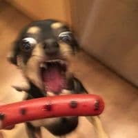 TikTok Account - sephoraaaweshhhhh