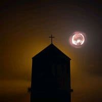 TikTok Account - kiriturne