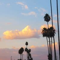 TikTok Account - gabibi13