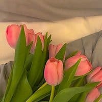 TikTok Account - sweet_versesss