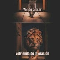 TikTok Account - mi_lugar_favorit_o